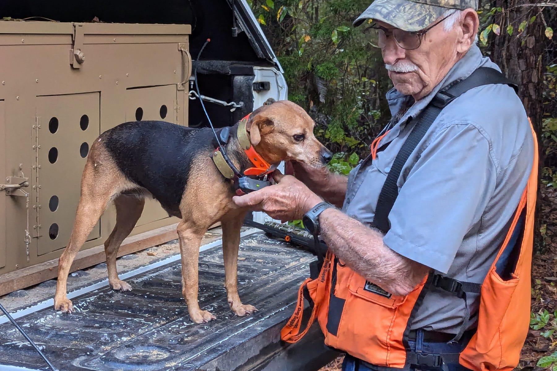 Squirrel Hunting With Dogs & Three Great .410 Bore Shotguns