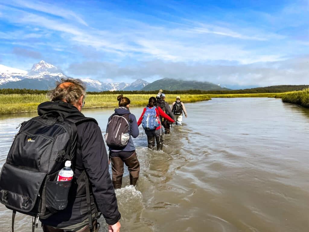 Bear Viewing in Homer, Alaska