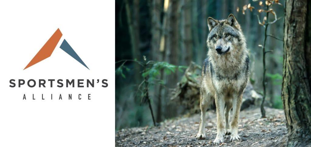 Sportsmen’s Alliance Sues Fish and Wildlife (FWS) Over ESA Wolf Petition Inaction